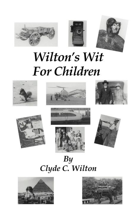 Produktbild: Wilton's Wit for Children