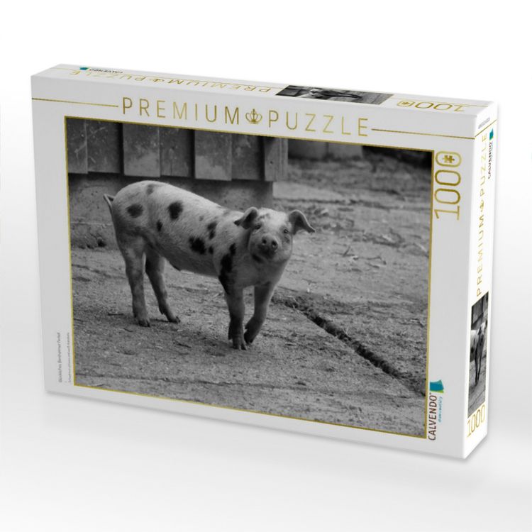Produktbild: CALVENDO Puzzle Gl&uuml;ckliches Bentheimer Ferkel | 1000 Teile Lege-Gr&ouml;&szlig;e 64x48cm Foto-Puzzle f&uuml;r gl&uuml;ckliche Stunden