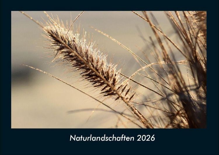 Produktbild: Naturlandschaften 2026 Fotokalender DIN A4