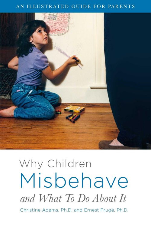 Produktbild: Why Children Misbehave and What To Do About It