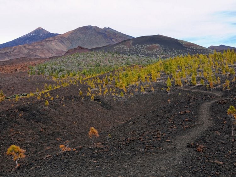 Produktbild: CALVENDO Puzzle Landschaft im Teide Nationalpark Teneriffa 1000 Teile Lege-Gr&ouml;&szlig;e 64 x 48 cm Foto-Puzzle Bild von Anja Frost