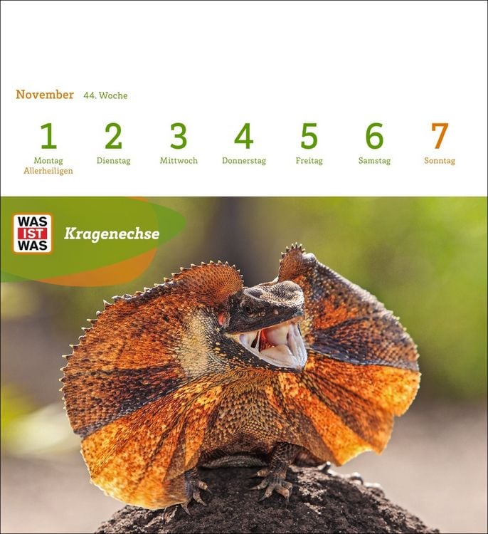 Produktbild: WAS IST WAS Geniale Tiere Postkartenkalender 2027 - Kalender mit 53 Sammelkarten