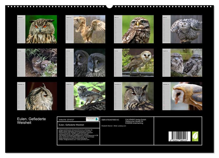 Produktbild: Eulen. Gefiederte Weisheit (hochwertiger Premium Wandkalender 2026 DIN A2 quer), Kunstdruck in Hochglanz