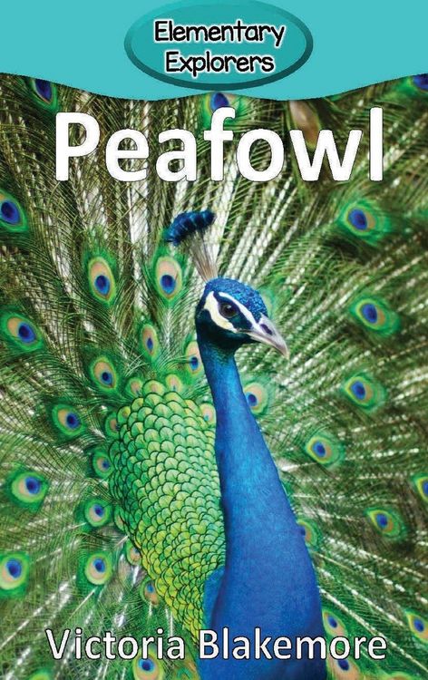 Produktbild: Peafowl