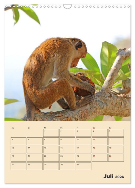 Produktbild: Sri Lanka - Terminplaner (Wandkalender 2026 DIN A3 hoch), CALVENDO Monatskalender