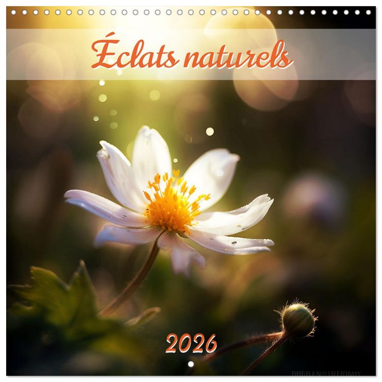 Produktbild: &Eacute;clats naturels (Calendrier mural carr&eacute; 2026 30x30 cm) Calendrier double avec une page pour vos prises de notes