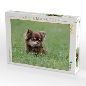 Produktbild: CALVENDO Puzzle Ein Motiv aus dem Kalender Chihuahuas - kleine Herzensbrecher | 1000 Teile Lege-Gr&ouml;&szlig;e 64x48cm Foto-Puzzle f&uuml;r gl&uuml;ckliche Stunden