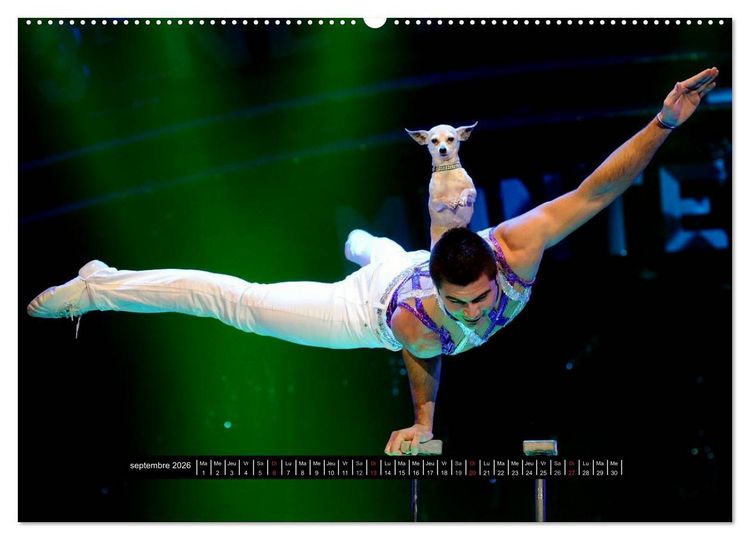 Produktbild: Les cadets du cirque &agrave; Monaco (Calendrier mural 2026 DIN A2 vertical) calendrier de bureau