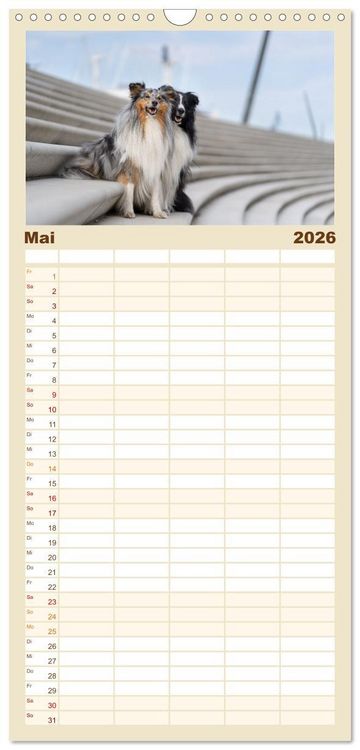 Produktbild: Familienplaner 2026 - Hunde in der City - Unterwegs in Hamburg mit 5 Spalten (Wandkalender, 21 x 45 cm) CALVENDO