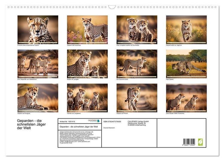 Produktbild: Geparden - die schnellsten J&auml;ger der Welt (Wandkalender 2026 DIN A2 quer), CALVENDO Monatskalender