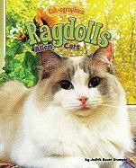 Produktbild: Ragdolls