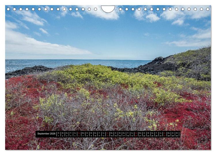 Produktbild: Galapagos- Landschaften (Wandkalender 2026 DIN A4 quer), CALVENDO Monatskalender