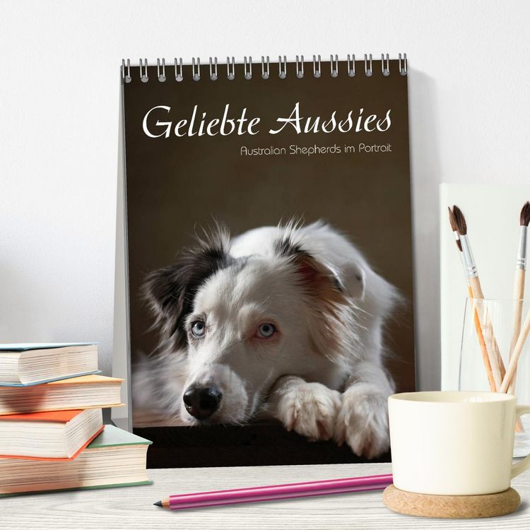 Produktbild: Geliebte Aussies - Australian Shepherds im Portrait (Tischkalender 2026 DIN A5 hoch), CALVENDO Monatskalender