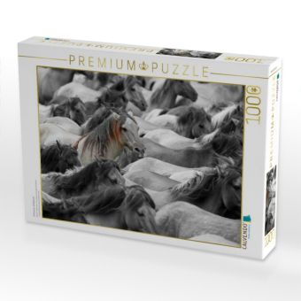 Produktbild: CALVENDO Puzzle D&uuml;lmener Wildpferde | 1000 Teile Lege-Gr&ouml;&szlig;e 64x48cm Foto-Puzzle f&uuml;r gl&uuml;ckliche Stunden