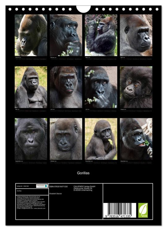 Produktbild: Gorillas (Wandkalender 2026 DIN A4 hoch), CALVENDO Monatskalender