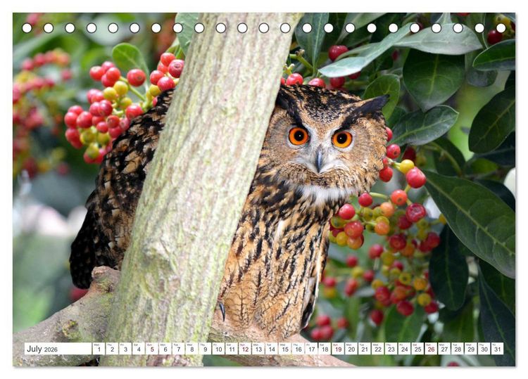 Produktbild: Wildlife of the Tundra (Desk Calendar 2026 DIN A5 landscape), CALVENDO 12 Month DeskCalendar