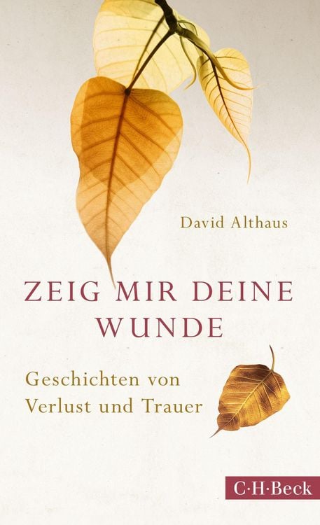 Bild vom Artikel Zeig mir deine Wunde vom Autor David Althaus
