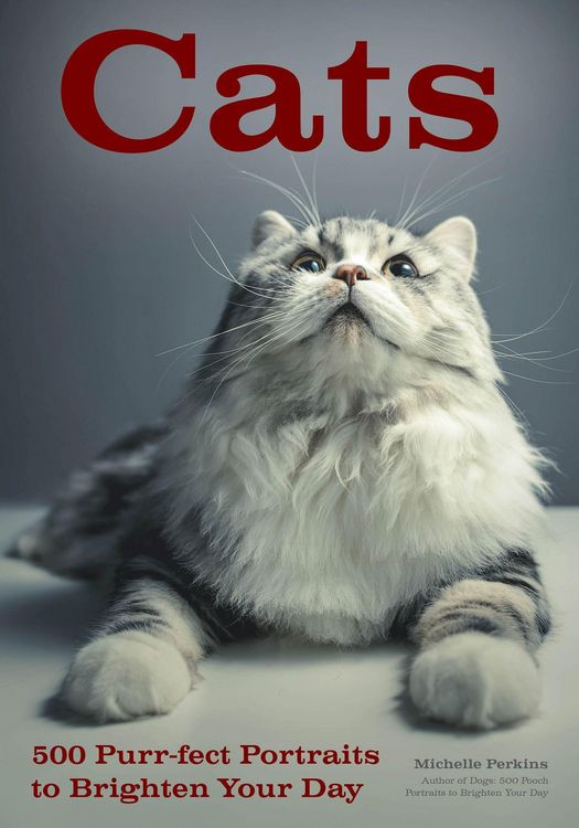 Produktbild: Cats