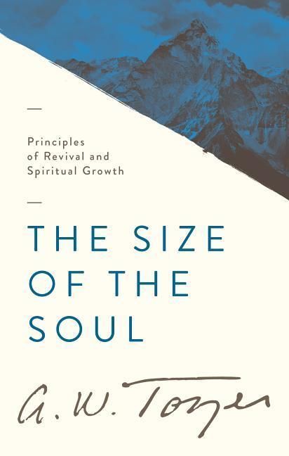 Produktbild: The Size of the Soul