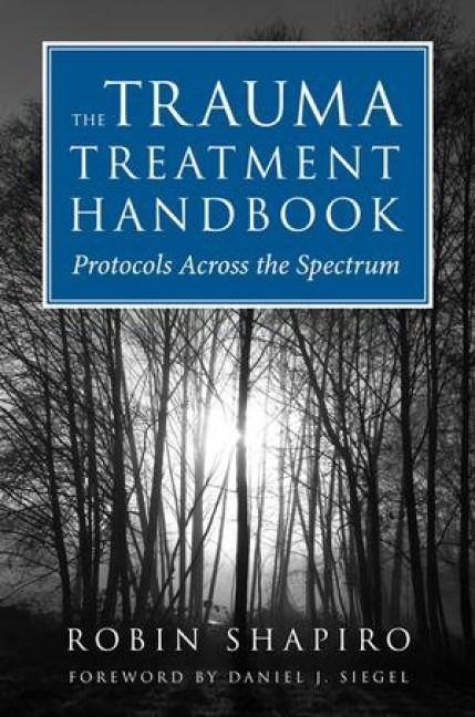Produktbild: The Trauma Treatment Handbook
