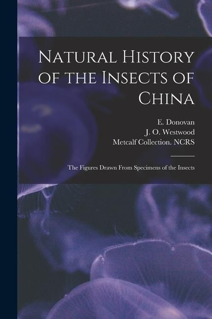 Produktbild: Natural History of the Insects of China: the Figures Drawn From Specimens of the Insects