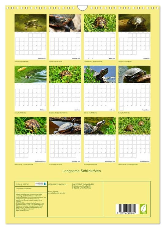 Produktbild: Langsame Schildkr&ouml;ten (Wandkalender 2026 DIN A3 hoch), CALVENDO Monatskalender