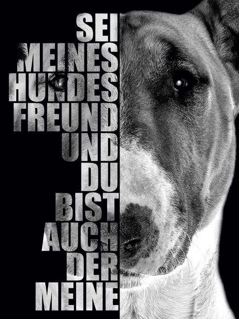 Produktbild: Bullterrier (Puzzle)