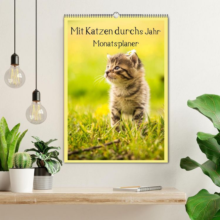 Produktbild: Mit Katzen durchs Jahr / Planer (Wandkalender 2026 DIN A2 hoch), CALVENDO Monatskalender