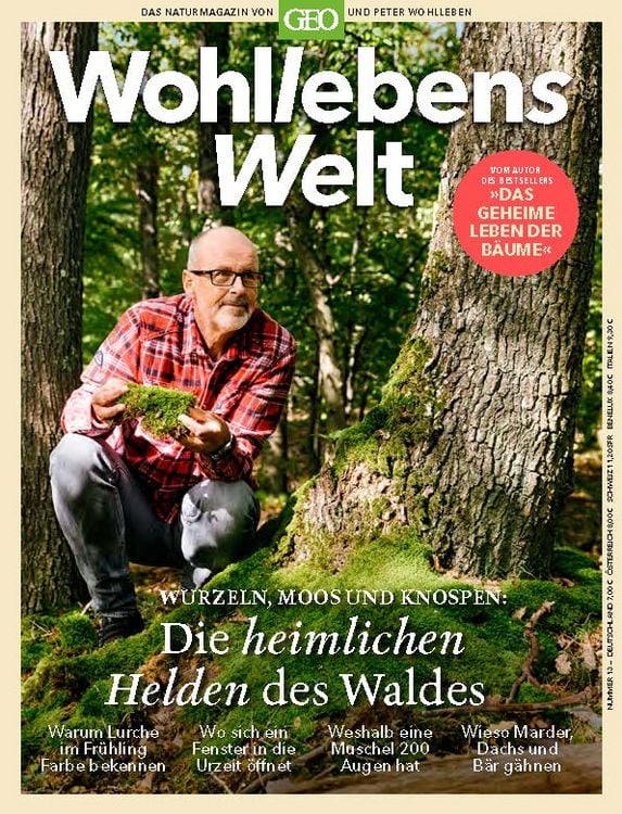 Produktbild: Wohllebens Welt / Wohllebens Welt 13/2022 - Die heimlichen Helden des Waldes