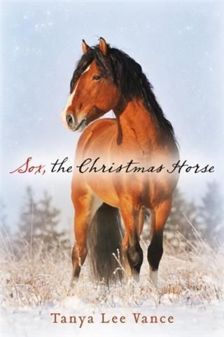 Produktbild: Sox, the Christmas Horse