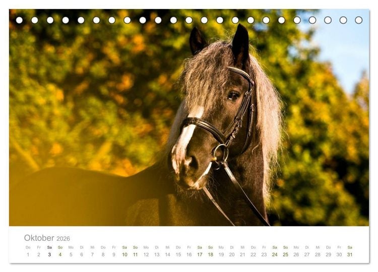 Produktbild: Faszination Schwarzw&auml;lder Kaltblut (Tischkalender 2026 DIN A5 quer), CALVENDO Monatskalender