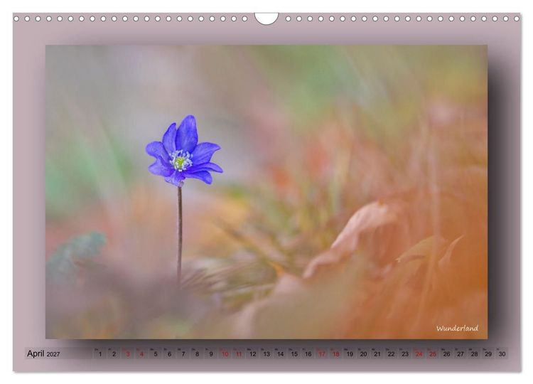 Produktbild: Foto-Art-Natur (Wandkalender 2027 DIN A3 quer), CALVENDO Monatskalender