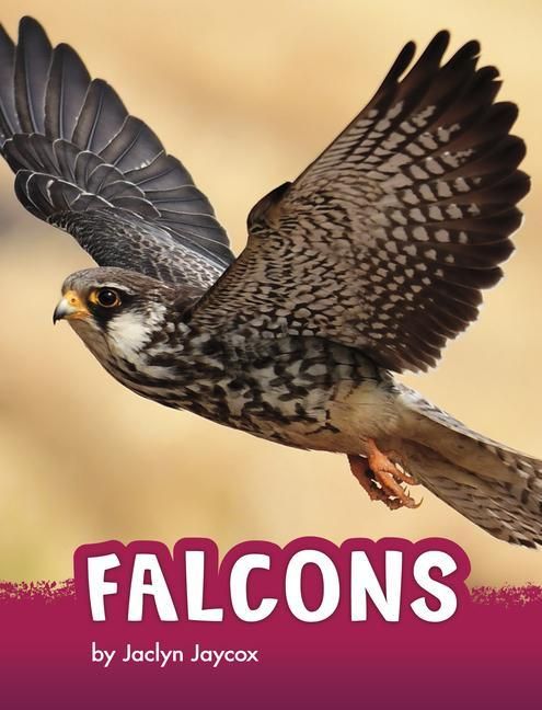 Produktbild: Falcons