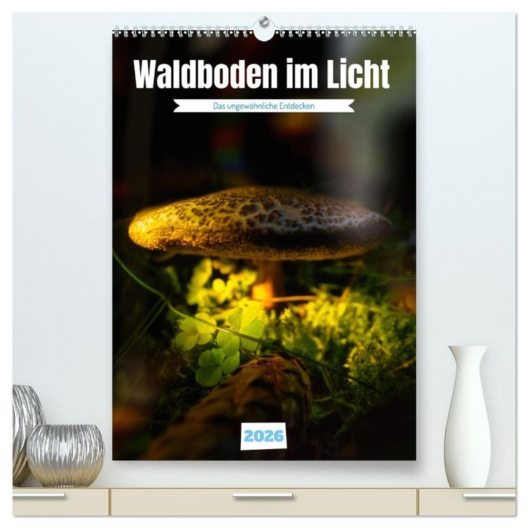 Produktbild: Waldboden im Licht (hochwertiger Premium Wandkalender 2026 DIN A2 hoch), Kunstdruck in Hochglanz