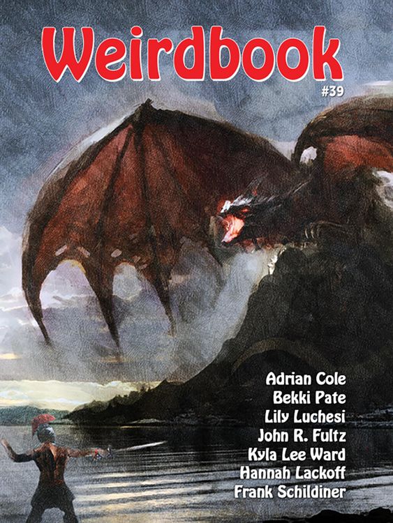 Produktbild: Weirdbook 39