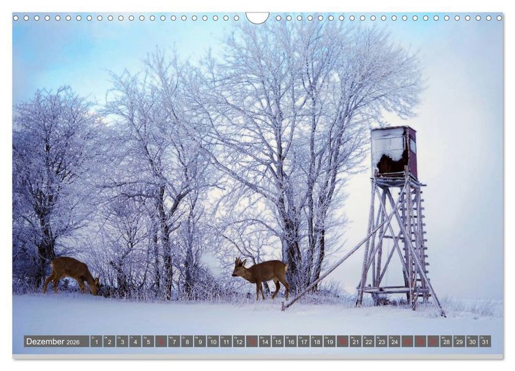 Produktbild: Zauberhafte Schwalm (Wandkalender 2026 DIN A3 quer), CALVENDO Monatskalender