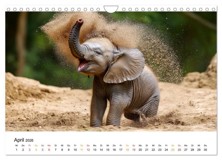 Produktbild: Elefanten Kinder - kleine Riesen (Wandkalender 2026 DIN A4 quer), CALVENDO Monatskalender