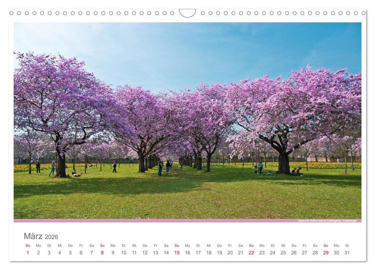 Produktbild: Der Neckar - Unterwegs in Deutschland (Wandkalender 2026 DIN A3 quer), CALVENDO Monatskalender