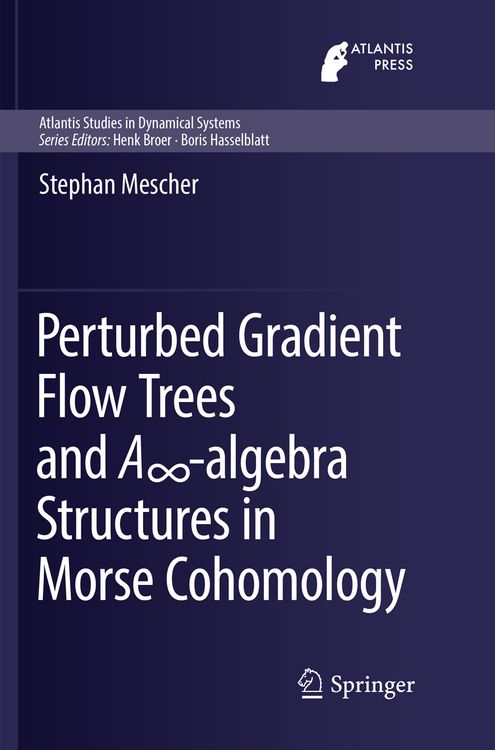 Produktbild: Perturbed Gradient Flow Trees and A&infin;-algebra Structures in Morse Cohomology