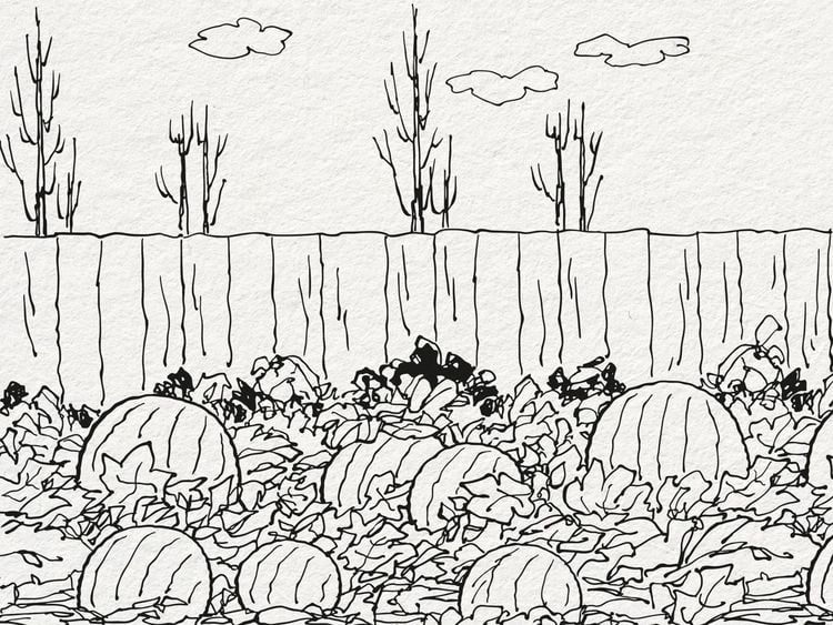 Produktbild: Das Beste der Peanuts