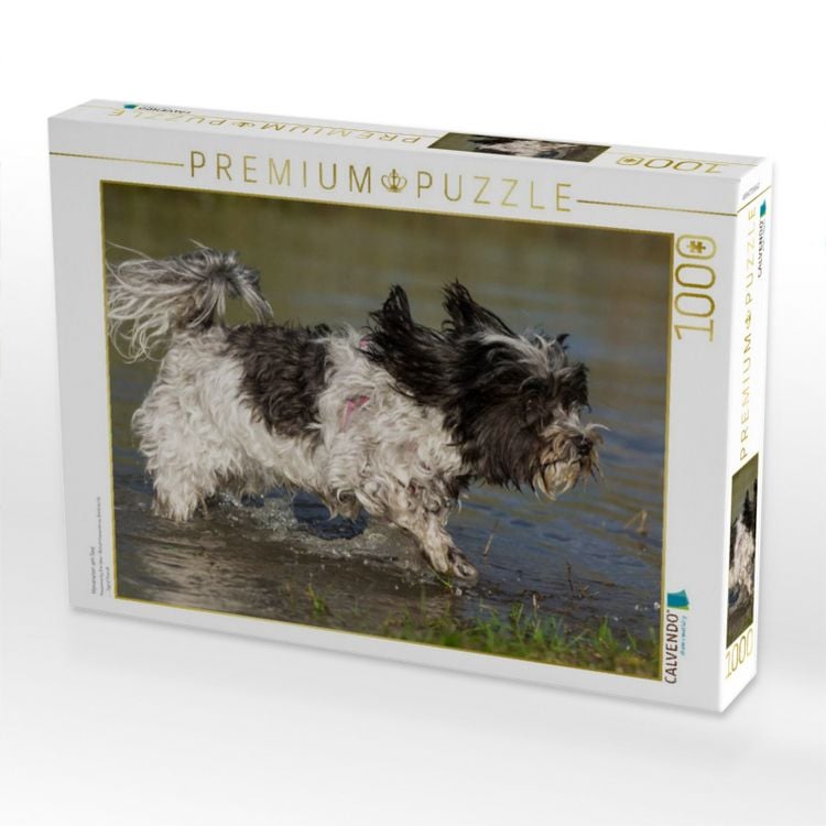 Produktbild: CALVENDO Puzzle Havaneser am See | 1000 Teile Lege-Gr&ouml;&szlig;e 64x48cm Foto-Puzzle f&uuml;r gl&uuml;ckliche Stunden