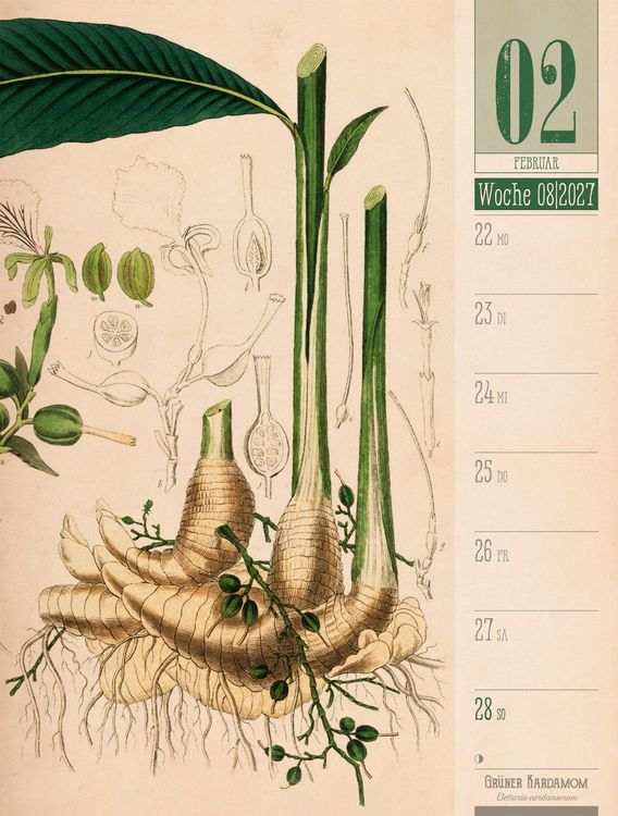Produktbild: Culinarium Wochenplaner Kalender 2027 | K&uuml;che, Kr&auml;uter, Kurioses