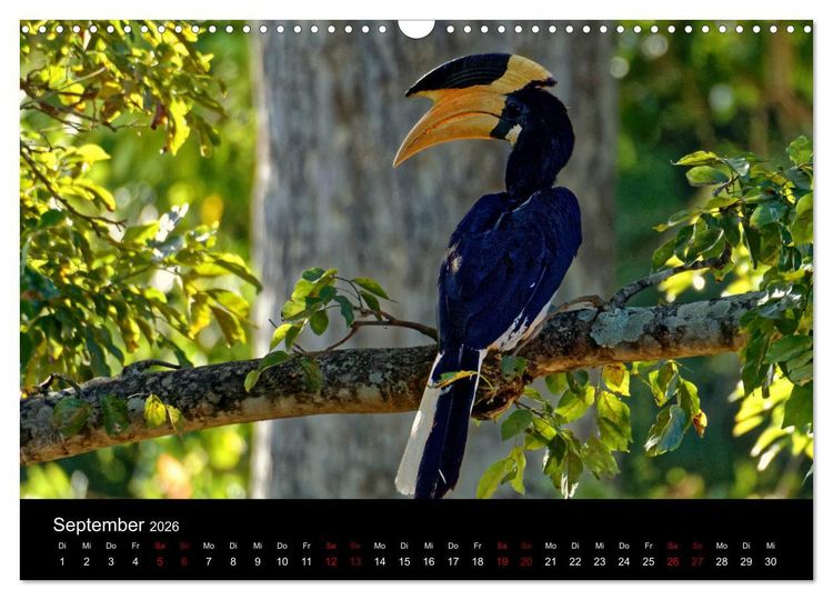 Produktbild: Sri Lanka - Tierische Momente (Wandkalender 2026 DIN A3 quer), CALVENDO Monatskalender