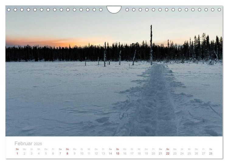 Produktbild: Heimat der Samen (Wandkalender 2026 DIN A4 quer), CALVENDO Monatskalender