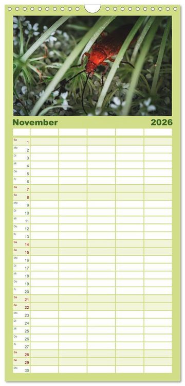 Produktbild: Familienplaner 2026 - Makrowelten Tierreich mit 5 Spalten (Wandkalender, 21 x 45 cm) CALVENDO