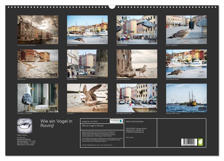 Produktbild: Wie ein Vogel in Rovinj! (Wandkalender 2026 DIN A2 quer), CALVENDO Monatskalender