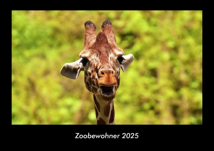 Produktbild: Zoobewohner 2025 Fotokalender DIN A3
