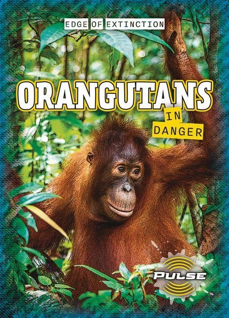 Produktbild: Orangutans in Danger