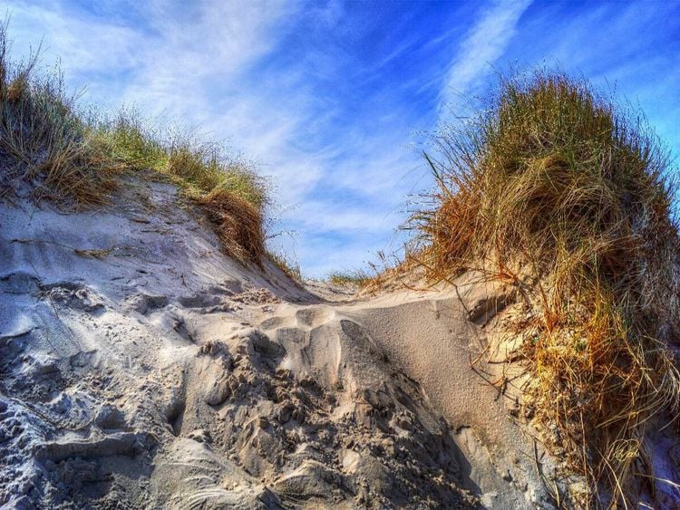 Produktbild: CALVENDO Puzzle Nordsee-D&uuml;nen | 1000 Teile Lege-Gr&ouml;&szlig;e 64x48cm Foto-Puzzle f&uuml;r gl&uuml;ckliche Stunden