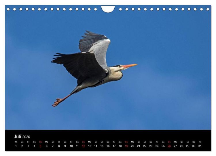 Produktbild: Wilde Heimat (Wandkalender 2026 DIN A4 quer), CALVENDO Monatskalender